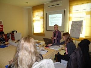 Koordinirana akcija lokalne zajednice u prevenciji i zaštiti od nasilja u porodici